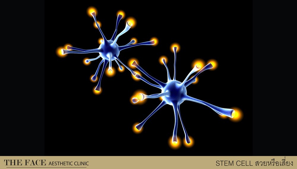 STEM CELL .. สวยหรือเสี่ยง มาดูกัน !!