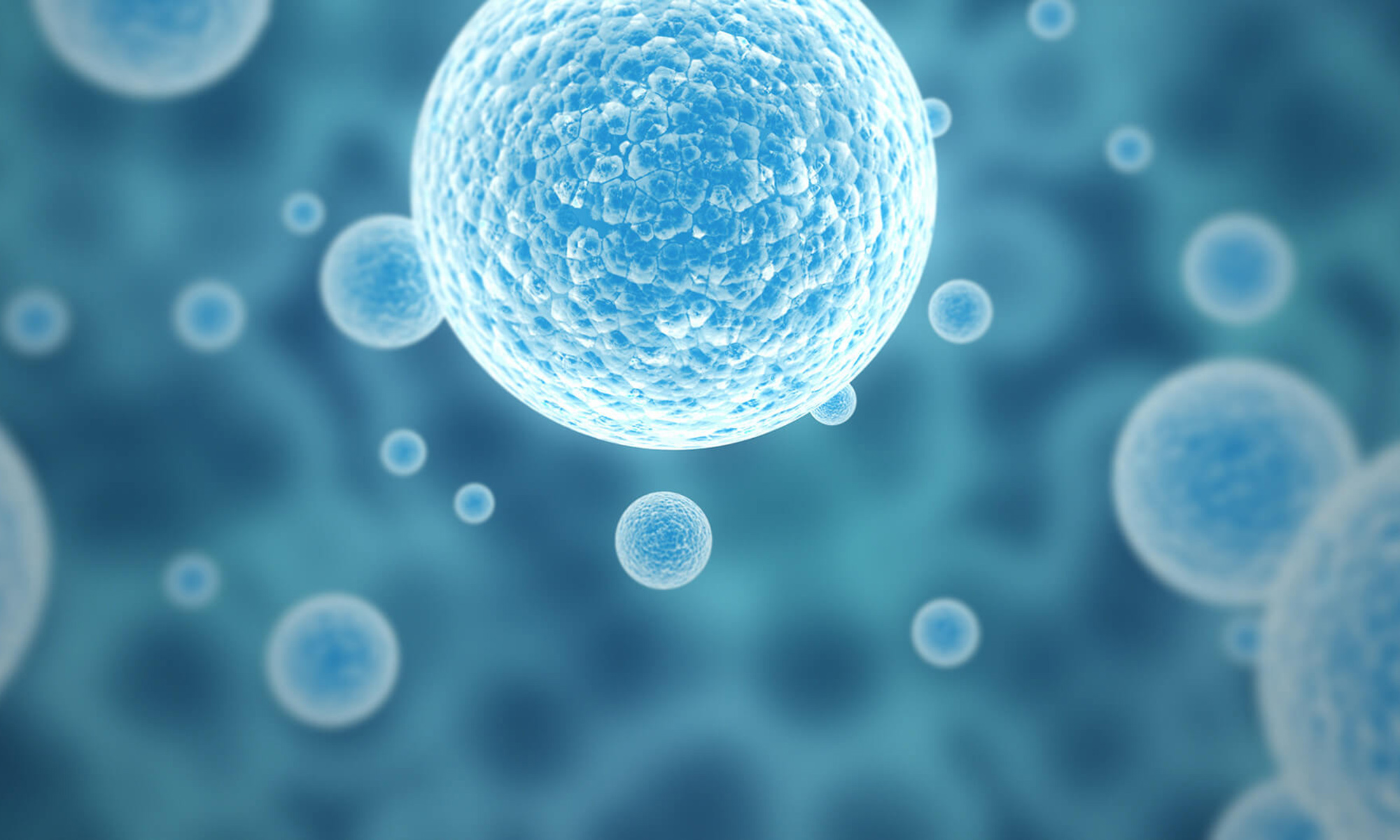 STEM CELL คืออะไร