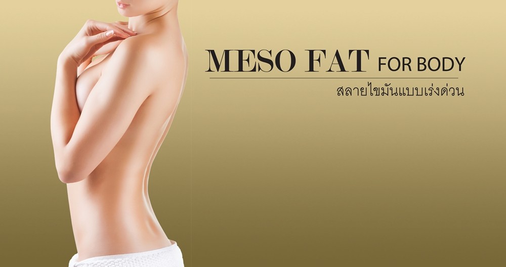 Meso Fat – Body สลายไขมันแบบเร่งด่วน